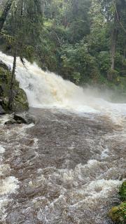 L'escapade Vosgienne - 1