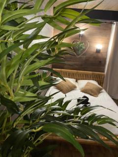 BY NEPTUNE - Appartement BALI Jacuzzi - 5