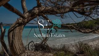 Suite Fronte Mare - Brezza Dorata - Porto Rotondo - 9