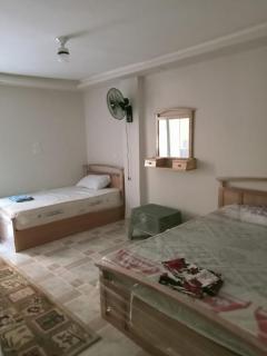 الاسكندرية - Alexandria - 9