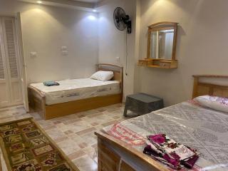 الاسكندرية - Alexandria - 5