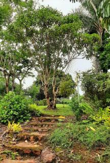 Country Cottage in Imbil - Mary Valley - 3
