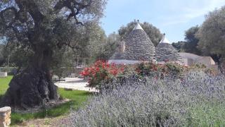 Ostuni trullo di charme - Ostuni - 0