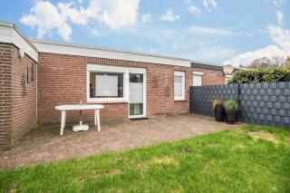 Wacholder - Berum - 6