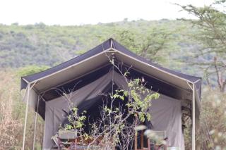 Elephant trails camp - Sekenani - 9