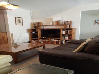 Majestic villa with swimming pool - Vaison-la-Romaine - 1
