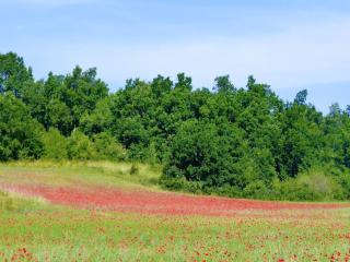 Holiday house with private garden in Redortiers - Redortiers - 5