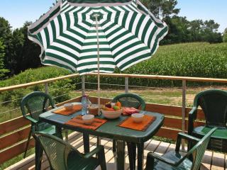 Countryside Holiday Home with Pool - 5