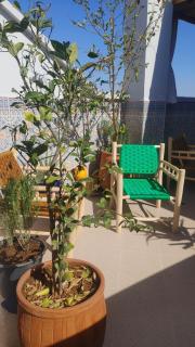 Dar Amane - Charmante maison marocaine - 7