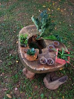 Lujosos Containers en Santa Cruz - 1