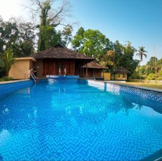 Sparrow Vale Resort - Kotamangalam - 7