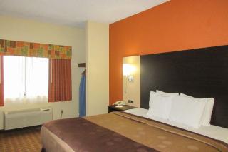 Quality Inn & Suites - Benton Harbor - 9