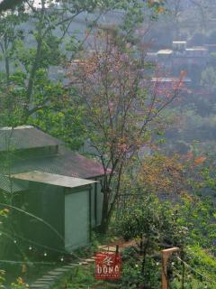 ĐÔNG Homestay Đà Lạt - Ấp Xuân An - 3