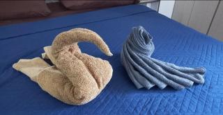 Apartamento ideal y comodo - 2