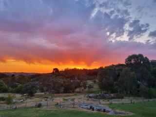 Golden Heritage Accommodation - Beechworth - 4