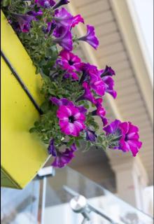 Comfortable & Cozy 2BR Hideaway - Brampton - 5
