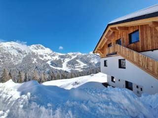 Almhaus Hochenwarter - Sonnenalpe Nassfeld - 9