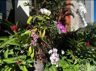 Flat no Leme Copacabana com coworking, conforto e piscina - Río de Janeiro - 7
