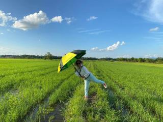 FarmStay Tawanchai ฟาร์มสุขตะวันฉาย YS - 2