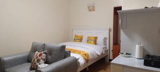 Executive Studios - Maclite Homes - Naivasha - 0