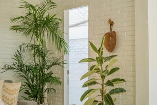 Bali Soul Loft - 1BR Loft near Eco Beach - Canggu - 3