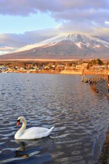 Hotel Mt. Fuji - Yamanakako - 9