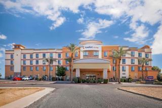 Comfort Suites Glendale - State Farm Stadium Area - Glendale - 9