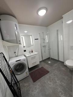 Central apartment from 2025 - Alta - 1