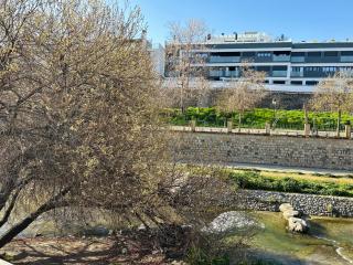 Centrico junto al rio genil - 2