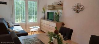 Résidence Laennec Tout Confort LOOS les LILLE - Proche CHR et Fac Médecine - Ménage et linge en option - Loos - 0