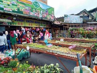 KEA Farm Chilly Cozy Resort Copthorne - Brinchang - 8
