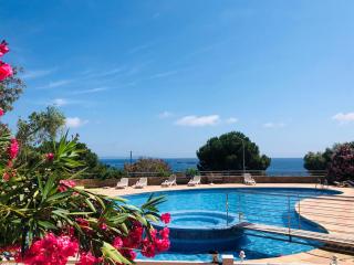 Les Sanguinaires N'15 - T2 Vue Mer, Piscine, Plage - 6