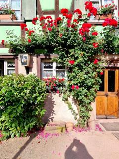 Gîte Gambrinus - Beblenheim - 9