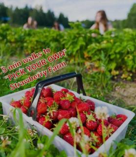 Kea Farm Sweet Cozy Resort Copthorne - Brinchang - 9