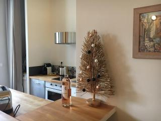 Gorgeous! heart of Aix en Provence appartement climatisé - 2