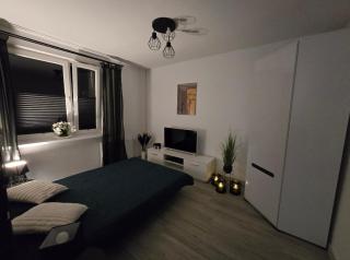 Green Flat - Gdynia - 5