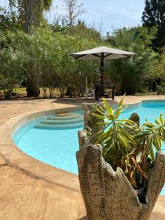 Flavor of the Coast - Diani Beach - 6