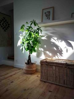 Proche des plages, piscine extérieure - 1