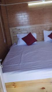 Seo bagh cottages narkanda - 1