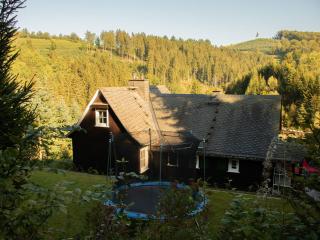 Tannenhäuschen Sauerland - Schmallenberg - 5