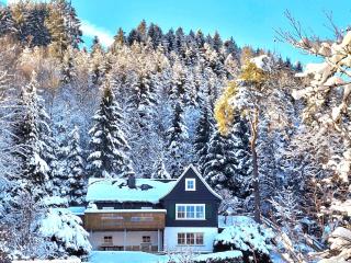 Tannenhäuschen Sauerland - Schmallenberg - 4