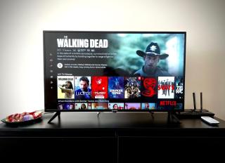 Jungle Home - Gara de Nord - 7