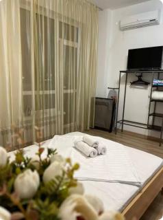 Квартира в 10 минутах АЭРОПОРТ, ЭКСПО, КОНГРЕСС ЦЕНТР, МЕГАСИЛКВЕЙ, НАЗАРБАЕВ УНИВЕР, НАЦБАНК, ХИЛТОН - 9