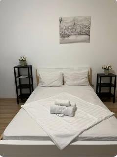 Квартира в 10 минутах АЭРОПОРТ, ЭКСПО, КОНГРЕСС ЦЕНТР, МЕГАСИЛКВЕЙ, НАЗАРБАЕВ УНИВЕР, НАЦБАНК, ХИЛТОН - 7