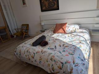 Studio calme- Cité de l'Espace - Côte Pavée - Toulouse - 9