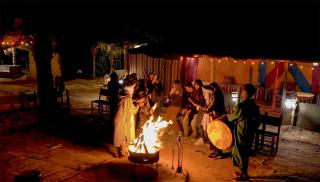 Sahara Garden Camp - 1