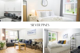 Silver Pines King bed 2 BR apartment - Manchester - 0