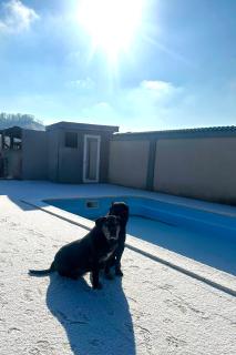 Sonnenhaus - - 3