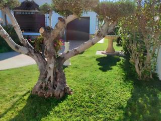 Chalet con piscina privada para Familias II - Conil de la Frontera - 4