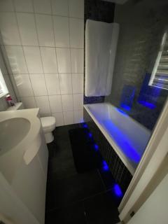 House for 7, garden with pond, 20min from Heathrow - Londra - 7